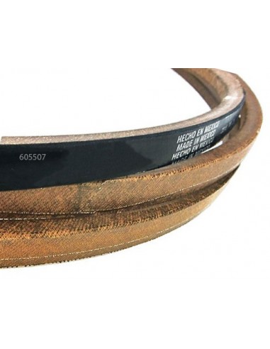 605507 CINGHIA MOT-TRIN Z-D *usa 8430851