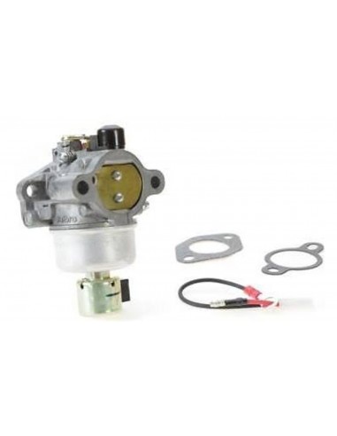 12853178-S CARBURATORE CV492 CV493