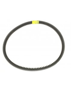 BA521207490 CINGHIA E401...