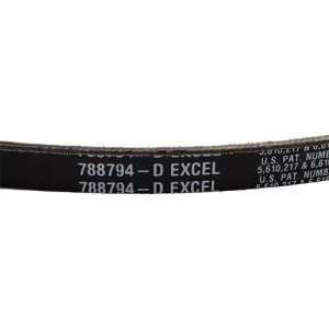 788794 CINGHIA POMPE Z-D....