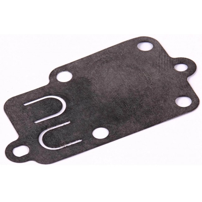 1425 MEMBRANA BRIGGS *270026