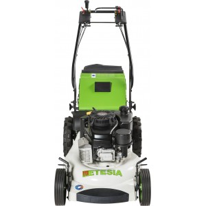 LKX2 TOSAERBA ETESIA... 2