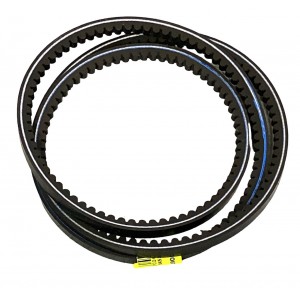BA521216000 CINGHIA...