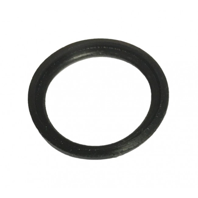 261657 GUARNIZ. CARBUR. AE320 NE420/500