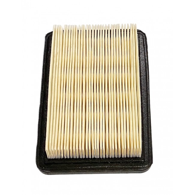 248011 FILTRO ARIA BL8600