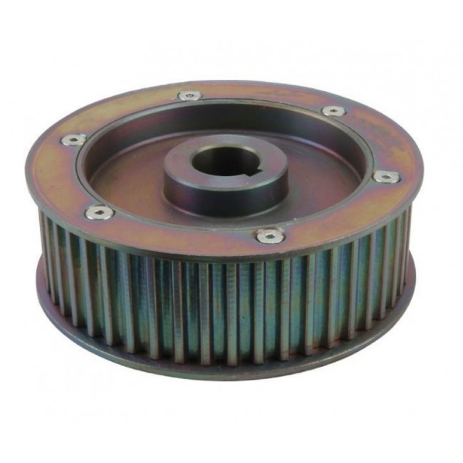 38569 PULEGGIA DENTATA HVSP HVHP