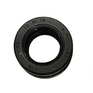040208005 PARAOLIO TC19125...