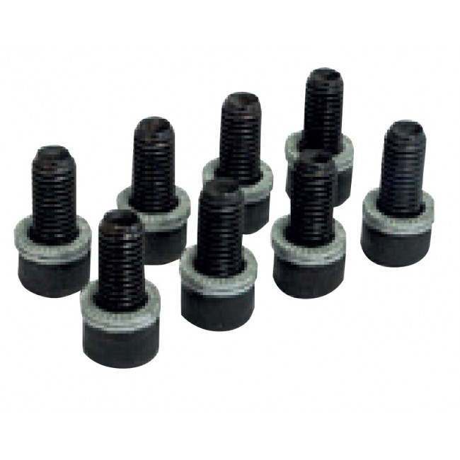M8X18+NORDLOCK SET 8 VITI E RONDELLE