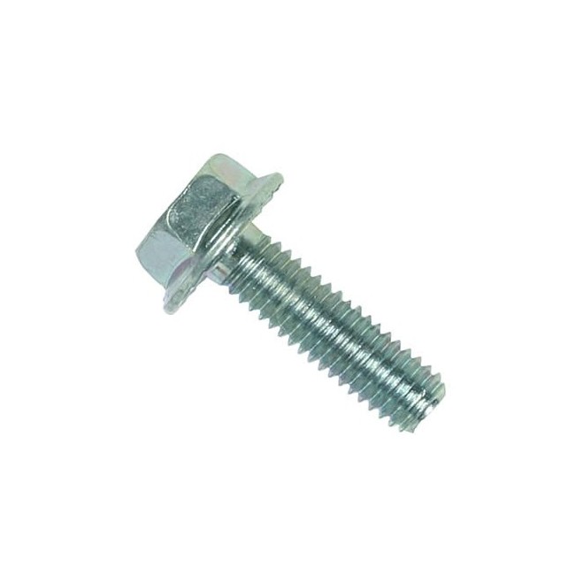 VITE T.ES.13 M 8X1,25Sx x 17  8470099