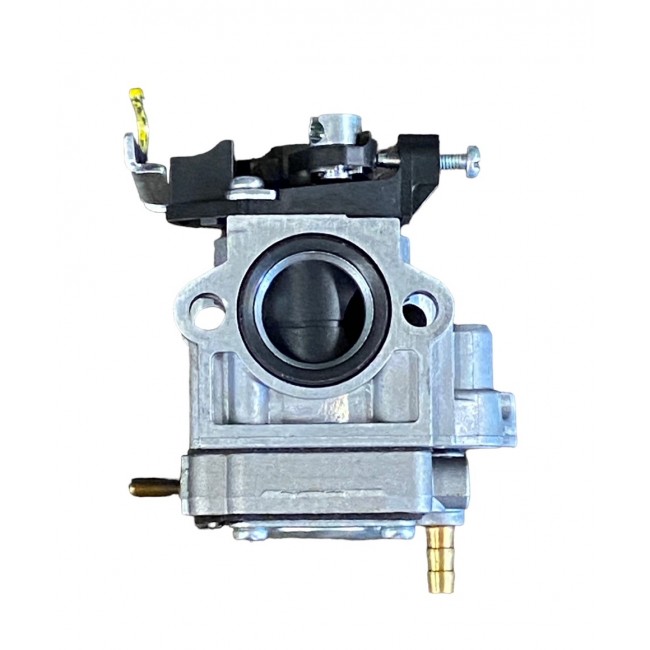 289479 CARBURATORE CPL BC5021RS