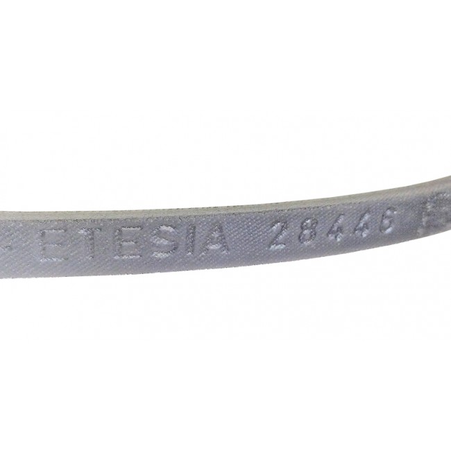 28446 CINGHIA BAHIA 1232mm x pul.206mm