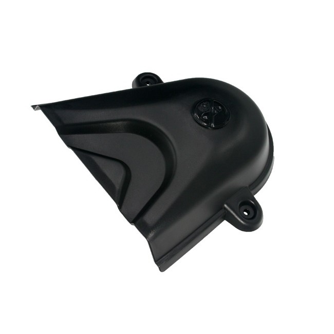 604337 CARTER COPRICINGHIA Dx RPTR 52"