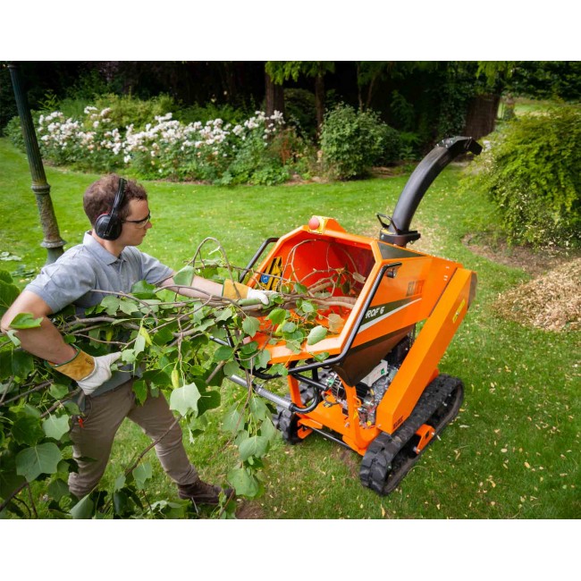 MA032020113 ELIET PROF6 CC H-Z MONSTER