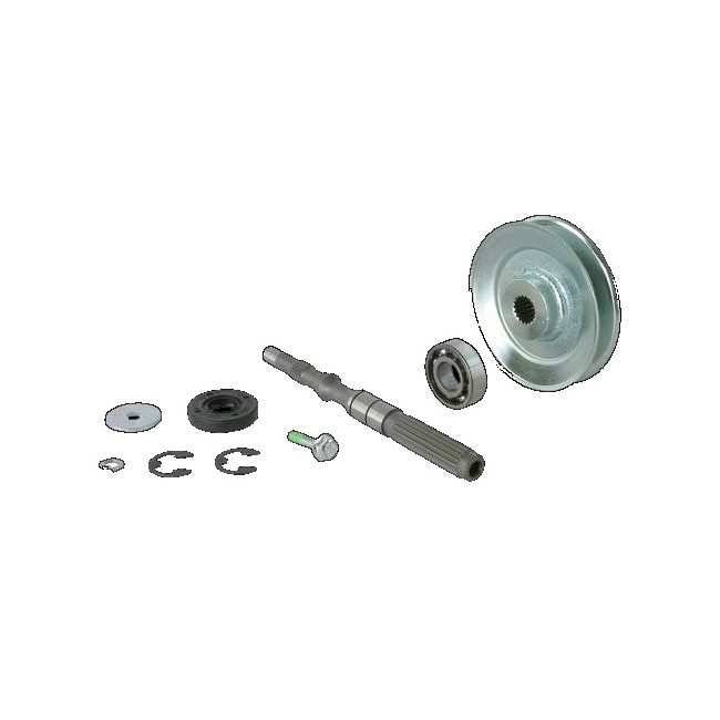 28488 KIT PULEGGIA+ALBERO+GUARN ex28579