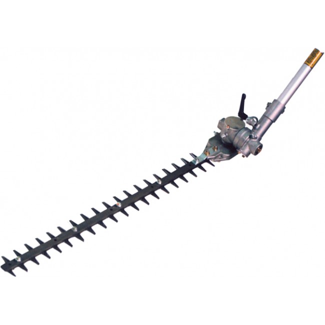 SET TAGLIASIEPE+ASTA mm630 MCA-EH15 24"