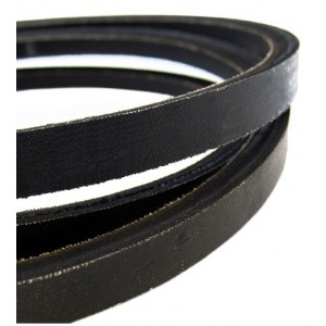 600979 CINGHIA POMPE FSTRK...