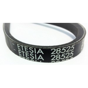 28525 CINGHIA SUPERIORE...