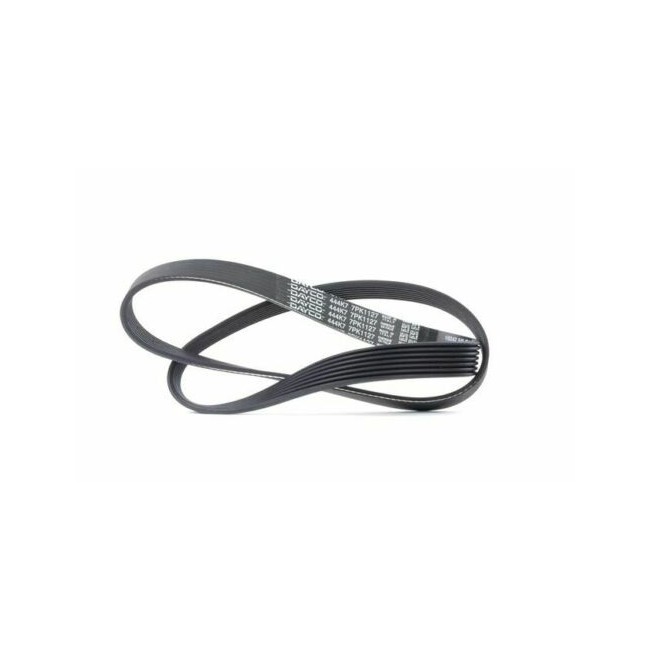 792267 CINGHIA POLY-V POMPE Z-D PVK8 RIB