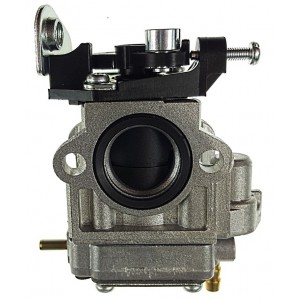 279890 CARBURATORE CPL... 2