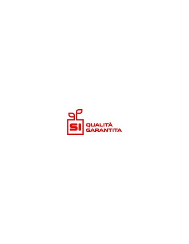 BB040410050 SPINA SICUREZZA RUOTA PROF-4